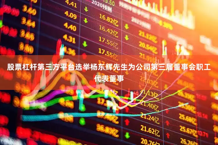 股票杠杆第三方平台选举杨东辉先生为公司第三届董事会职工代表董事