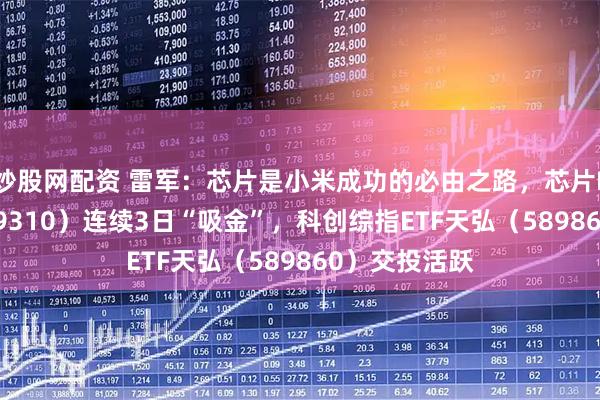 炒股网配资 雷军：芯片是小米成功的必由之路，芯片ETF天弘（159310）连续3日“吸金”，科创综指ETF天弘（589860）交投活跃